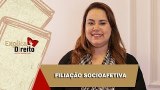 Explica Direito Filiação Socioafetiva  2019 [upl. by Jerold]