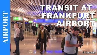 TRANSIT WALK AT FRANKFURT Airport FRA Terminal 1  Connection Flight Transfer Arriving amp Departing [upl. by Elyn]